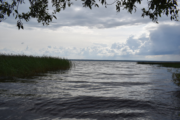 Вячеслав Смольняков Вячеслав Смольняков