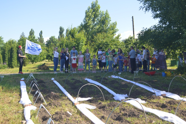 Фестиваль Эколят Фестиваль Эколят