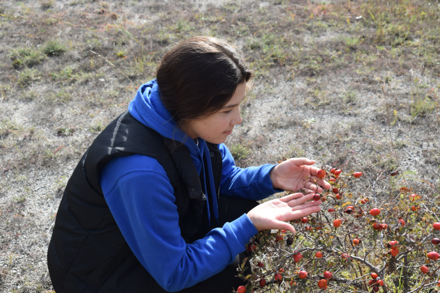 "Осенняя фенология" "Осенняя фенология"