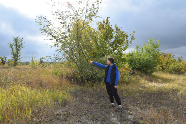 "Осенняя фенология" "Осенняя фенология"