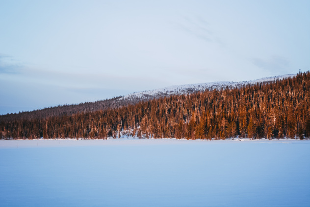 Сергей Доржиев Сергей Доржиев