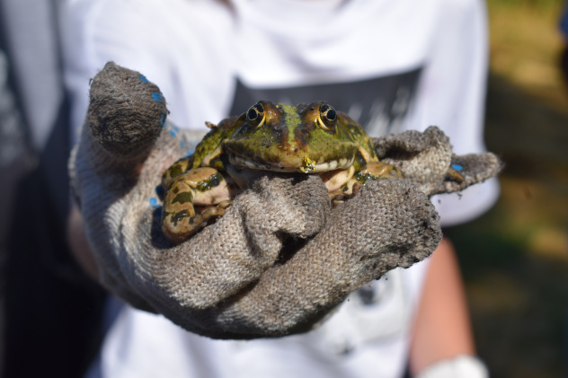 Акция "Чистый берег-2022"