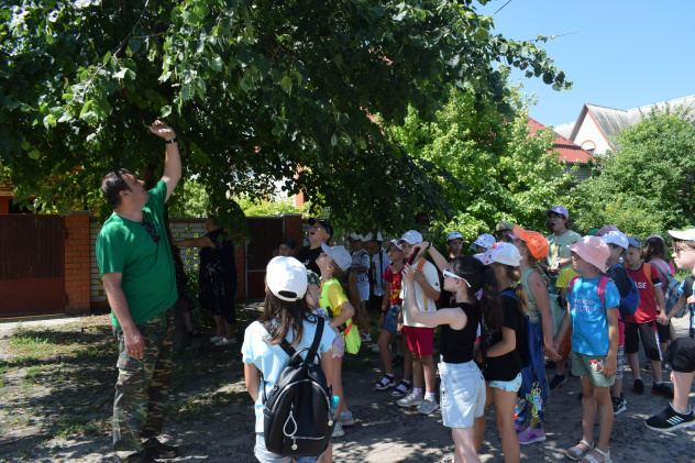 Первый Летний единый фенодень-2024