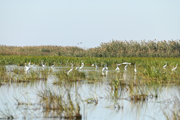 Предоставлено организаторами Предоставлено организаторами
