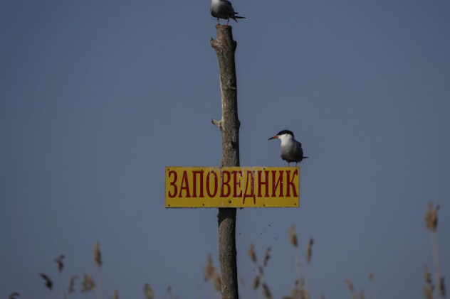 Алина Умарова, участница фотоконкурса РГО "Самая красивая страна" Алина Умарова, участница фотоконкурса РГО "Самая красивая страна"