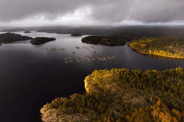 Антон Ермаков 