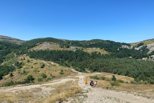 Никифорова А.А. Никифорова А.А.