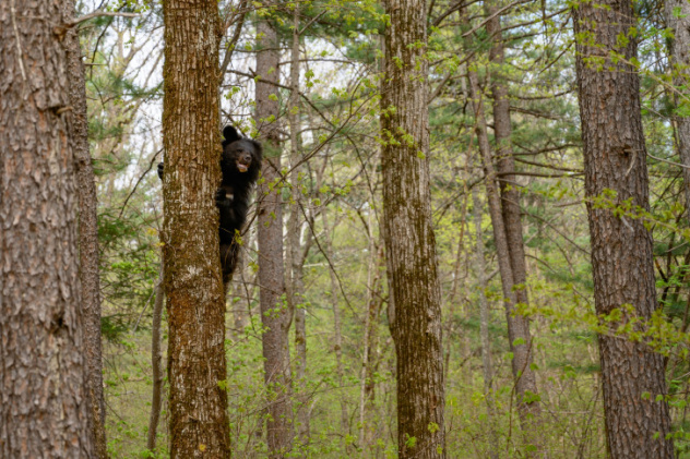 Владимир Чебанов, участник фотоконкурса РГО "Самая красивая страна"