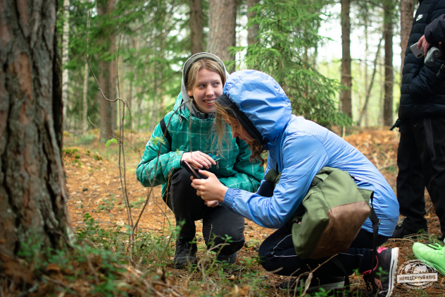 Фенологические наблюдения в сосновых лесах Дюков Фенологические наблюдения в сосновых лесах Дюков
