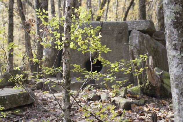 Автор фото Ровкина Ольга, руководитель Молодежного клуба Русского географического общества на базе Северского отделения Краснодарского регионального отделения Автор фото Ровкина Ольга, руководитель Молодежного клуба Русского географического общества на базе Северского отделения Краснодарского регионального отделения