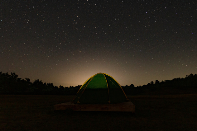 Ксения Гасица Ксения Гасица