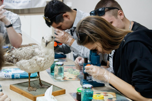 НЕурок географии 2025