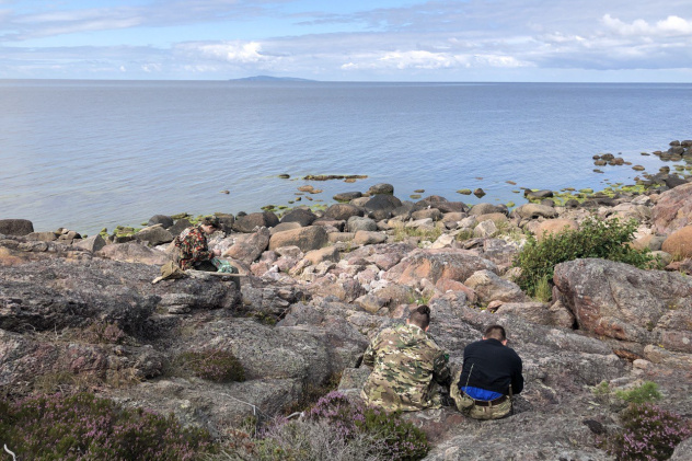 Предоставлено организаторами