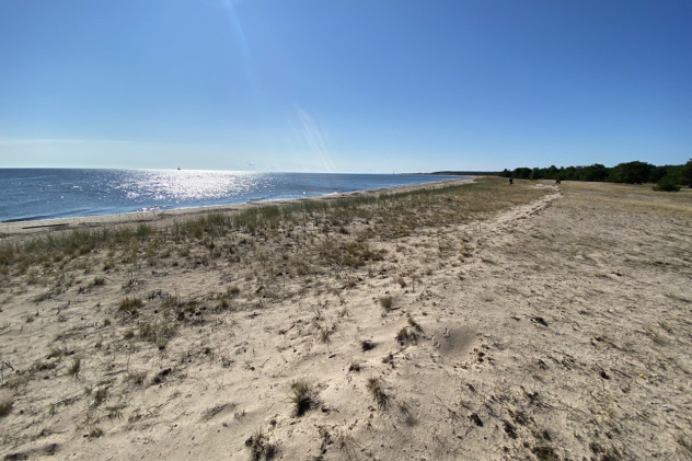 Предоставлено организаторами