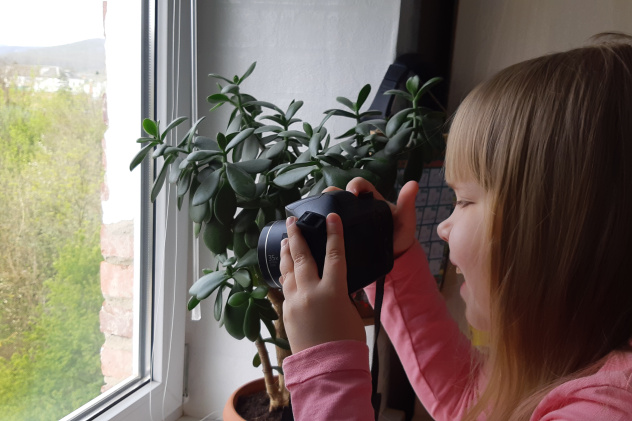 Грачёва Ксения "Наблюдаем из окна" Грачёва Ксения "Наблюдаем из окна"