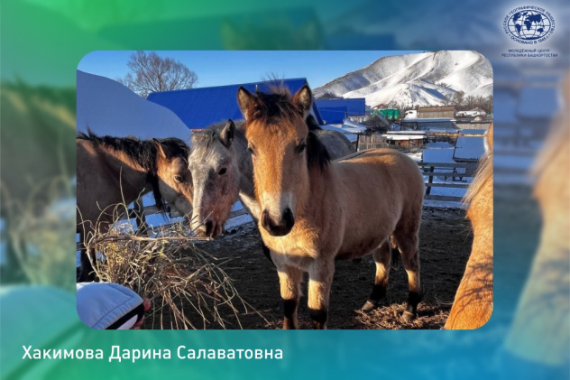 Хакимова Дарина импульс года Хакимова Дарина импульс года