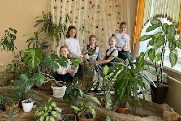 Сетевой проект