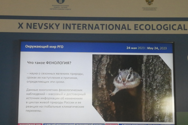 Райса Фаткуллина Райса Фаткуллина