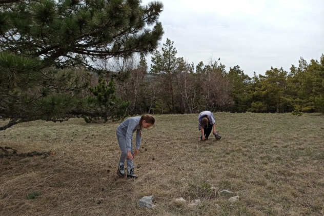 Предоставлено Молодежным клубом РГО в Крыму Предоставлено Молодежным клубом РГО в Крыму