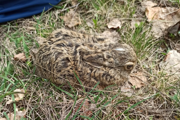 Молодежный клуб РГО в Крыму Молодежный клуб РГО в Крыму