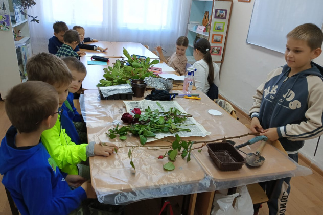 Черенкование роз