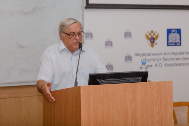 Ксения Гасица