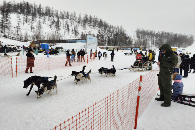 Беренгия Беренгия