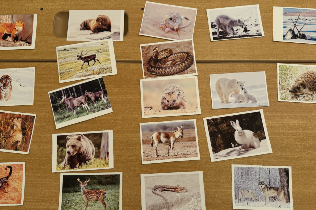 МК РГО "Австрия" МК РГО "Австрия"