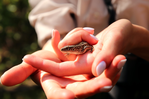 Мария Ткаченко Мария Ткаченко