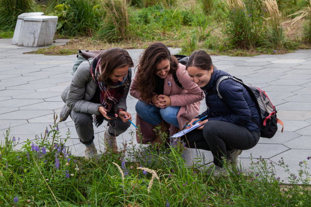 Единый фенологический день 2021 Единый фенологический день 2021