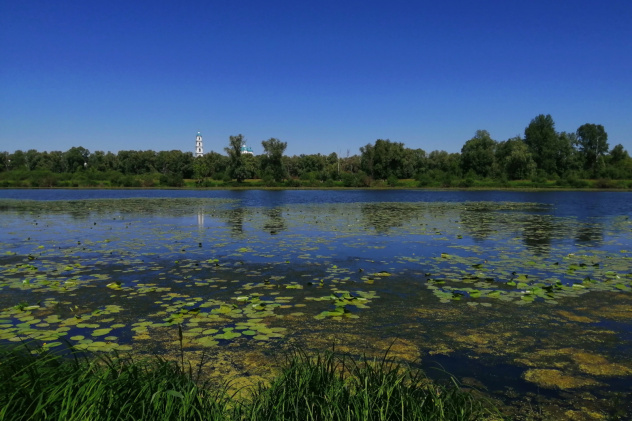 НП "Нижняя Кама"