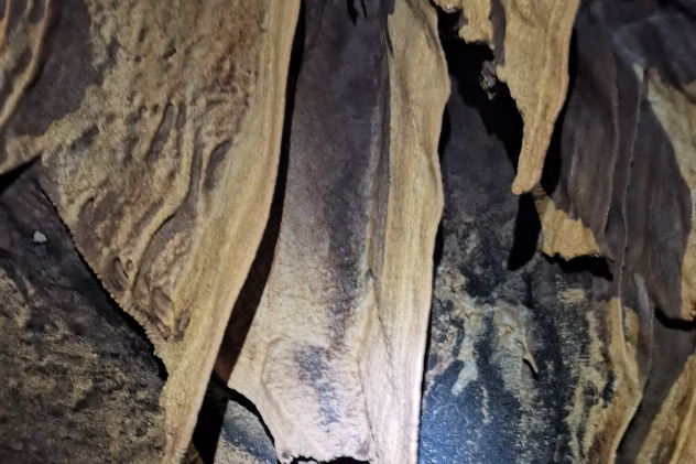 Денис Черепанов Денис Черепанов