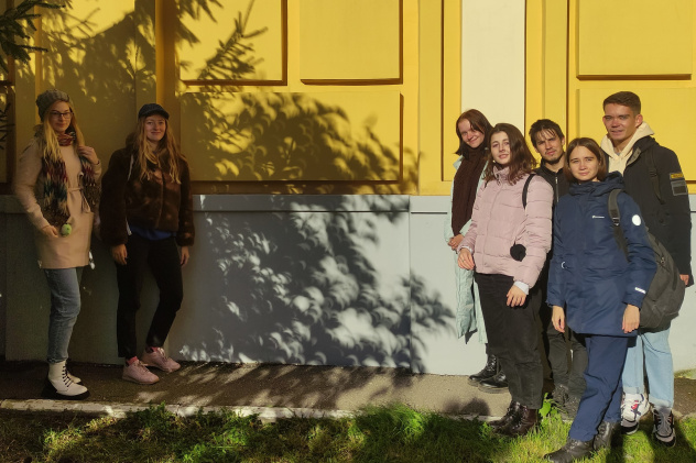 Серповидные тени от листвы деревьев на стене Серповидные тени от листвы деревьев на стене