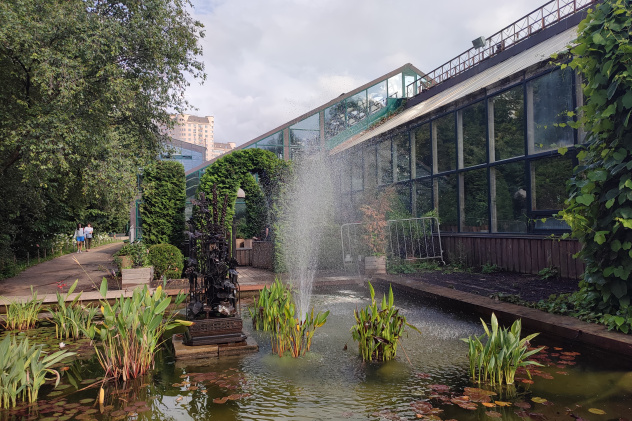 Оранжереи Аптекарского огорода Оранжереи Аптекарского огорода