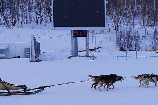 Владислав Сульдин Владислав Сульдин