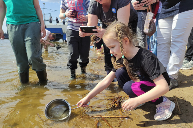 Автор: Максим Червяков Автор: Максим Червяков