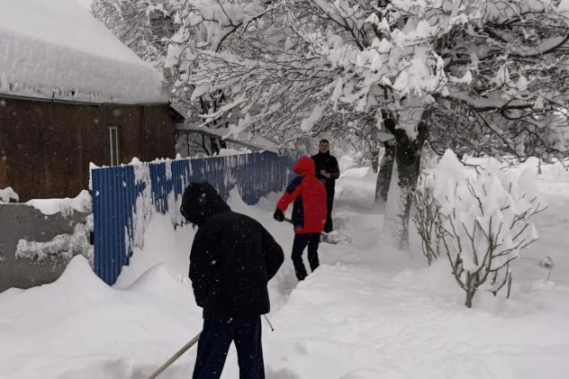 Александр Наумов