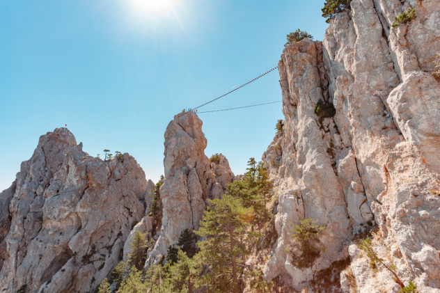 Ксения Гасица Ксения Гасица