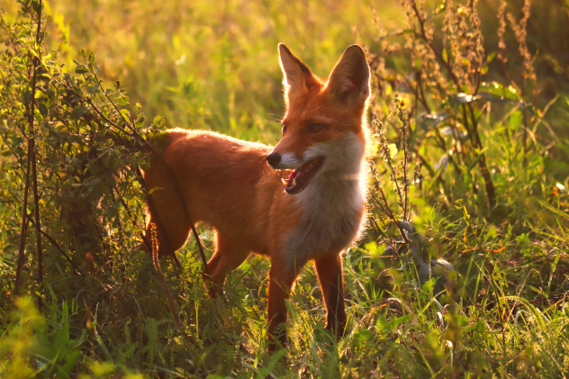 Мария Ткаченко