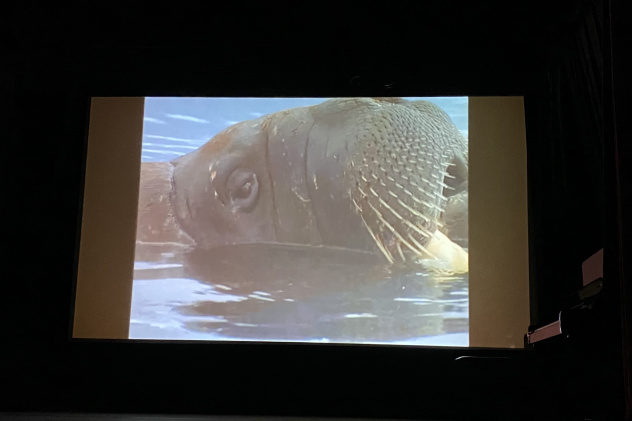 МК РГО "Австрия" МК РГО "Австрия"