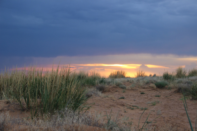 Василиса Ромашкина Василиса Ромашкина