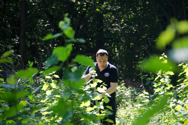 Дарья Королева