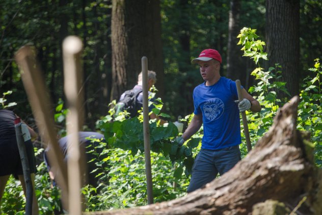 Дарья Королева