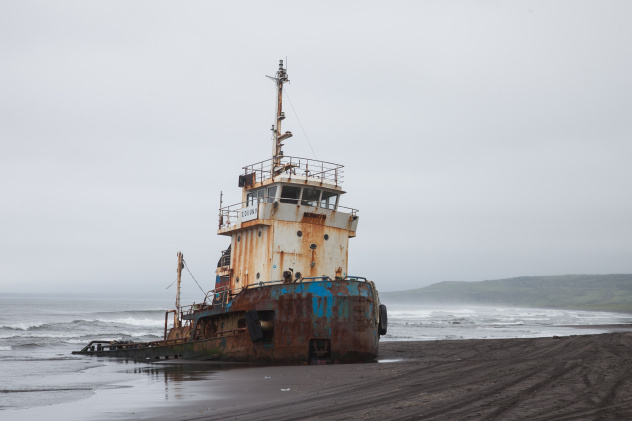 Ксения Гущина Ксения Гущина