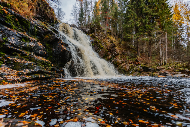 Ксения Гасица