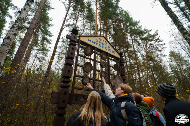 Тактильные остановки на экологической тропе Тактильные остановки на экологической тропе