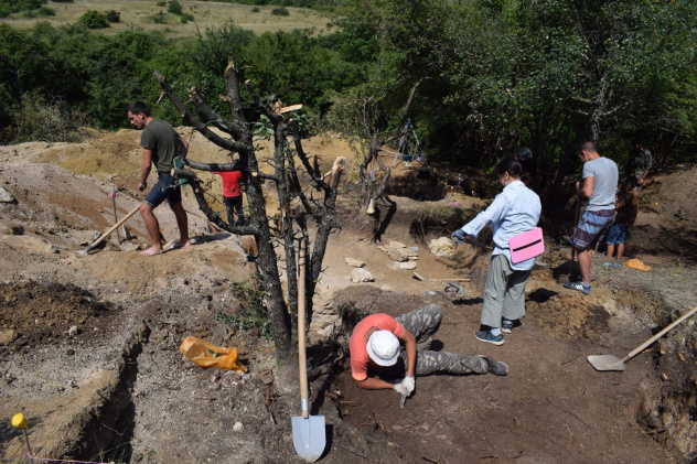 Предоставлено организаторами 