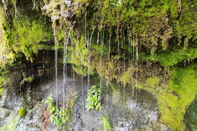 Источник "Стена плача" Источник "Стена плача"