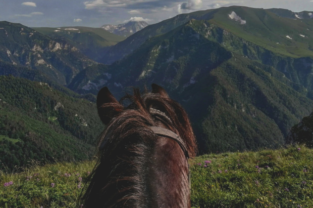 Дарья Корнюхина, участница фотоконкурса РГО "Самая красивая страна"