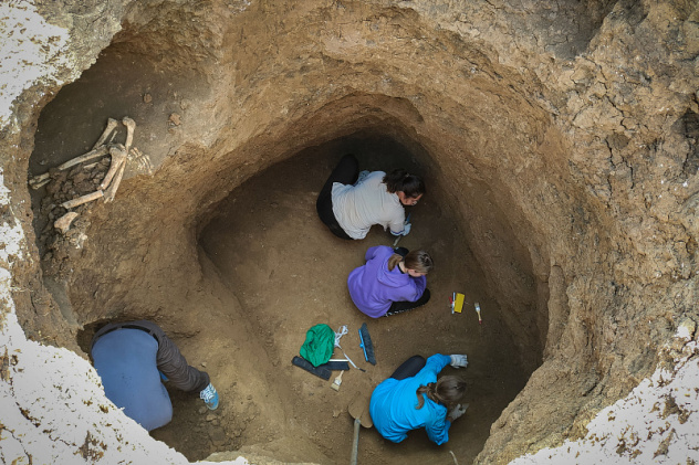 Автор: Наталья Давыдова